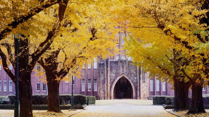 致远合格东京大学经济学研究科面试只用了6分钟教授都问了些什么