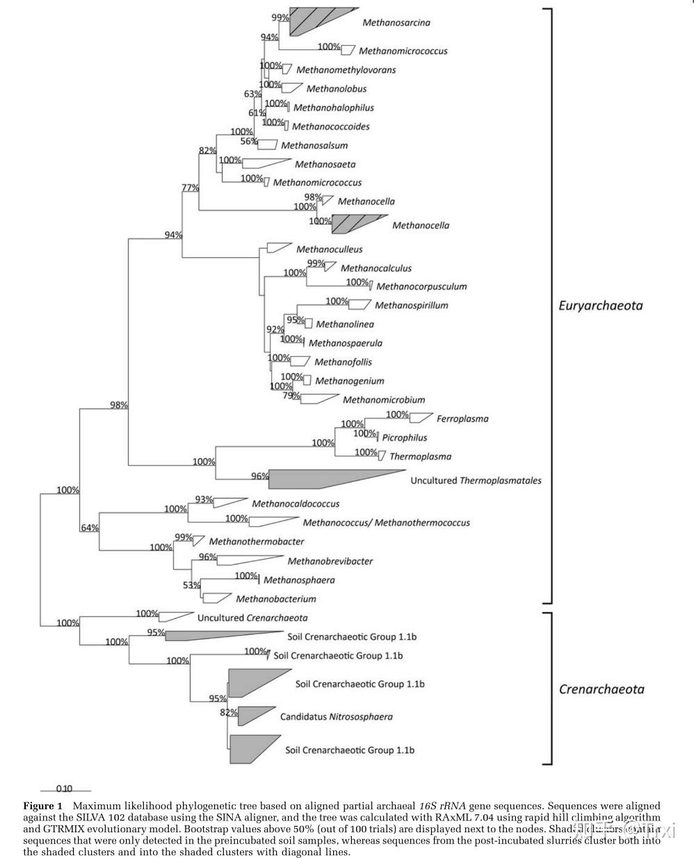 产甲烷古菌在全球范围内普遍存在于含气土壤中,并在湿缺氧条件下变得