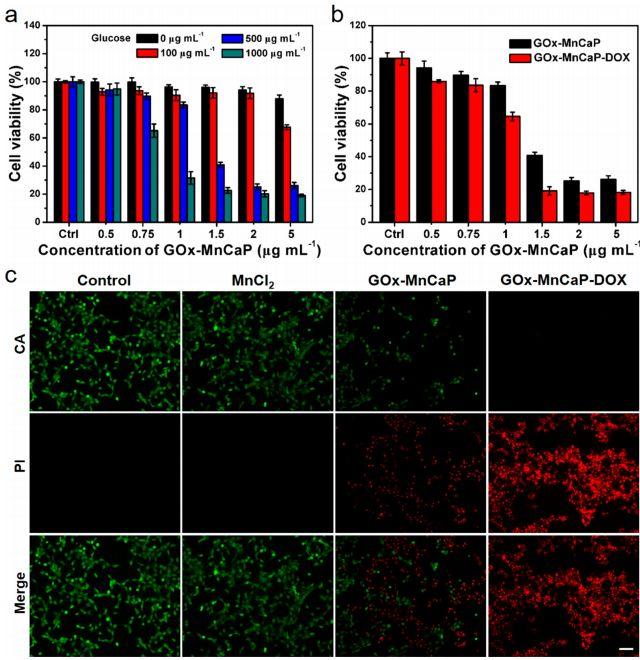 深圳大学黄鹏团队acsnano整合多种疗法可智能释药的仿