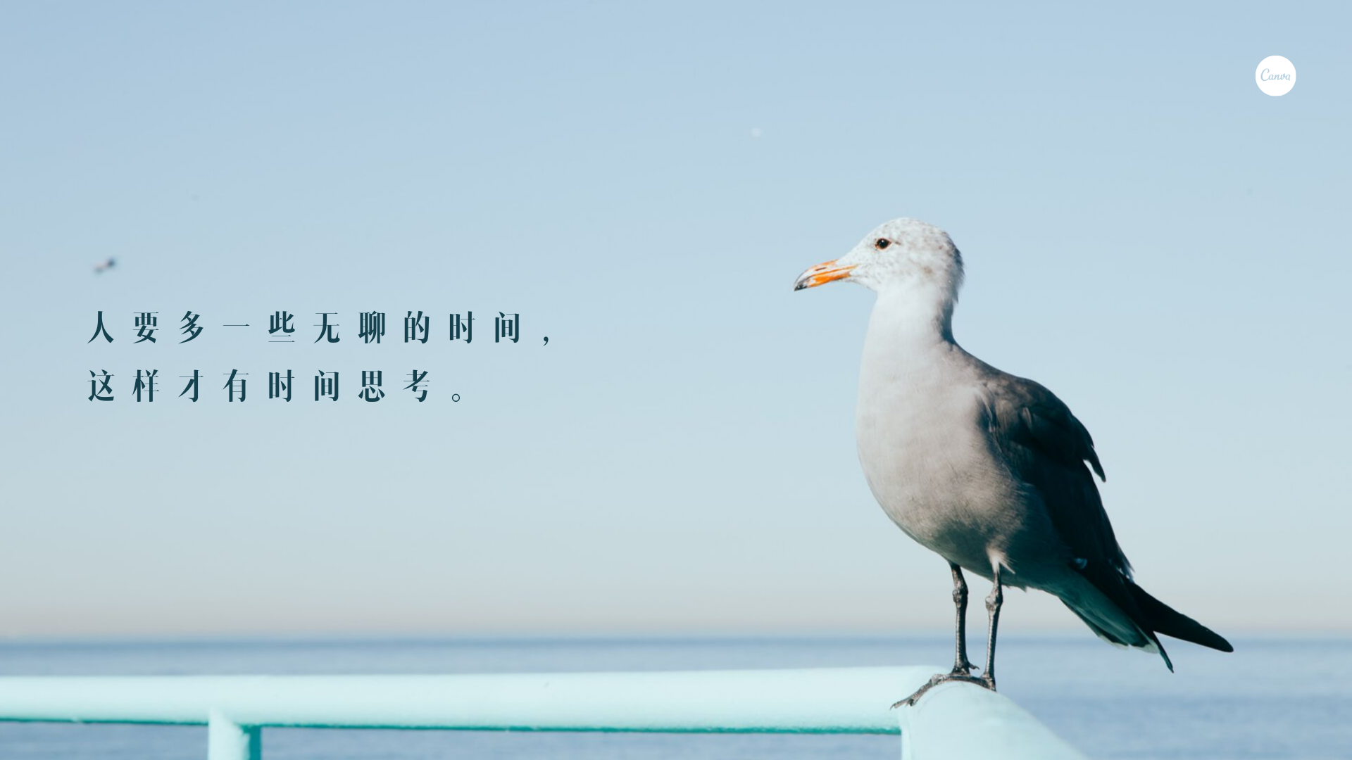 v2-28326be8f384382c3e05a8b3c55d3bd0_r.jpg