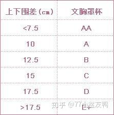 胸罩的杯型大小怎么区分？ - 知乎