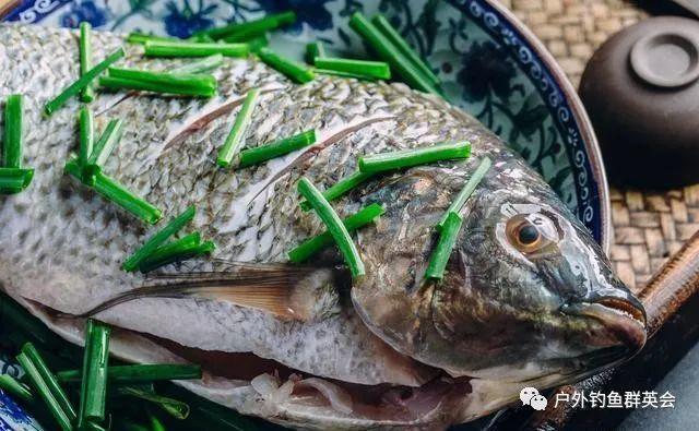 非洲鯽魚到底有何魅力讓釣魚人又愛又恨