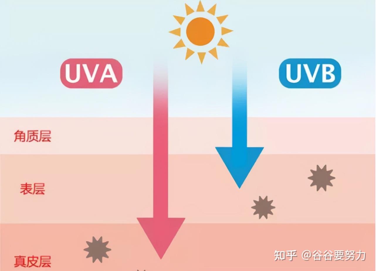 比自然老化更可怕的“光老化”，我们如何才能有效预防？ - 知乎