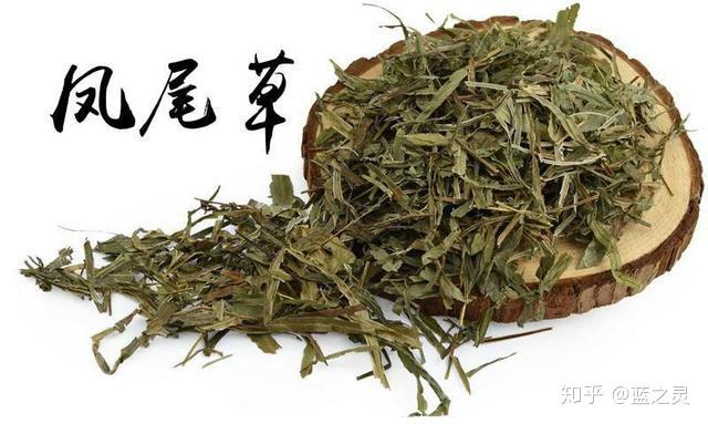 清热利湿,健脾和胃木棉花木棉花为广东民间祛湿的好食材,既有祛湿功效