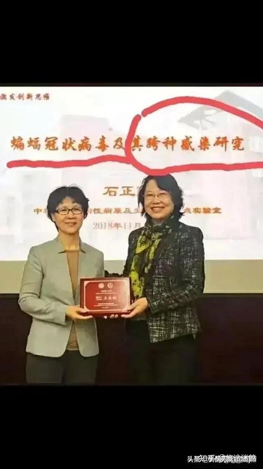 石正丽为美国研发致命的冠状病毒收集毒株样本和基因测序3据美媒报道