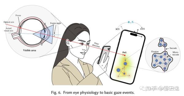 Gaze Algorithms and Interaction, 眼动算法与交互 - 知乎