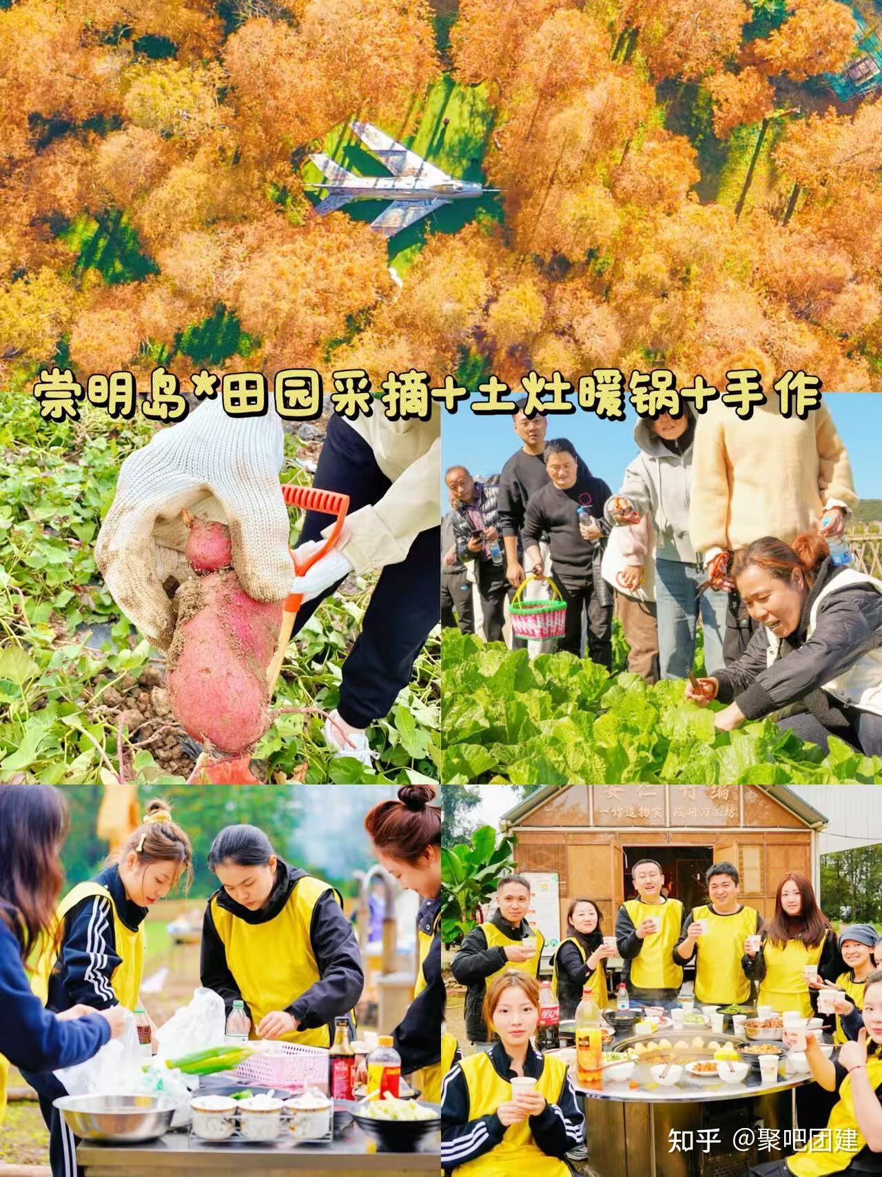 上海冬日团建 ️12-2月12个暖玩地合集|||上海团建｜冬季团建｜公司一日游 - 知乎