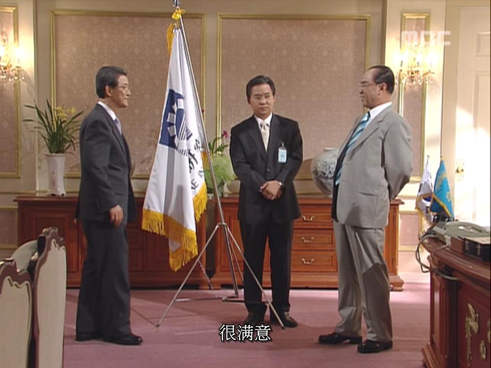 那些在第五共和国出现的韩国旗帜