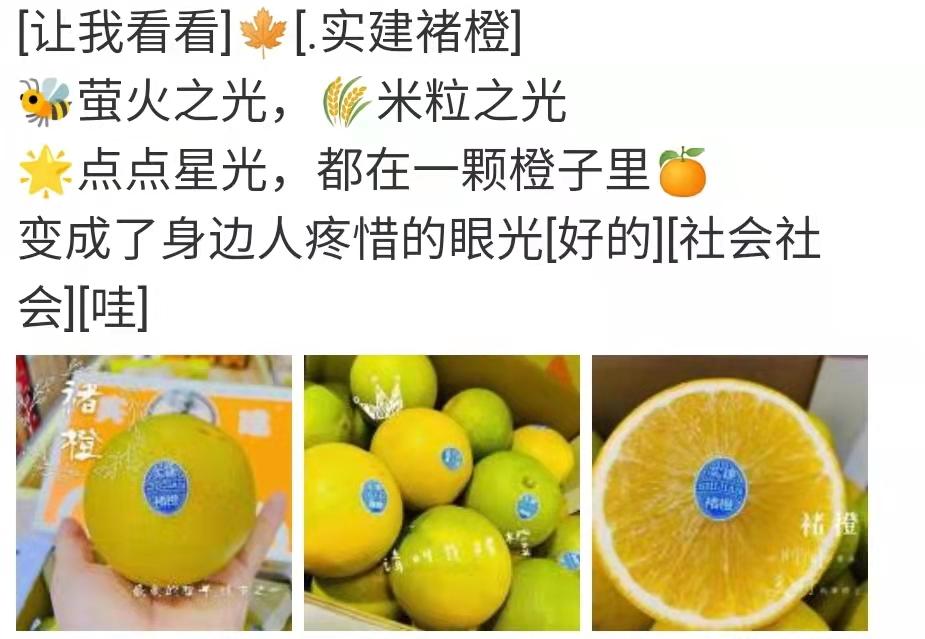 水果褚橙文案水果褚橙文案示例