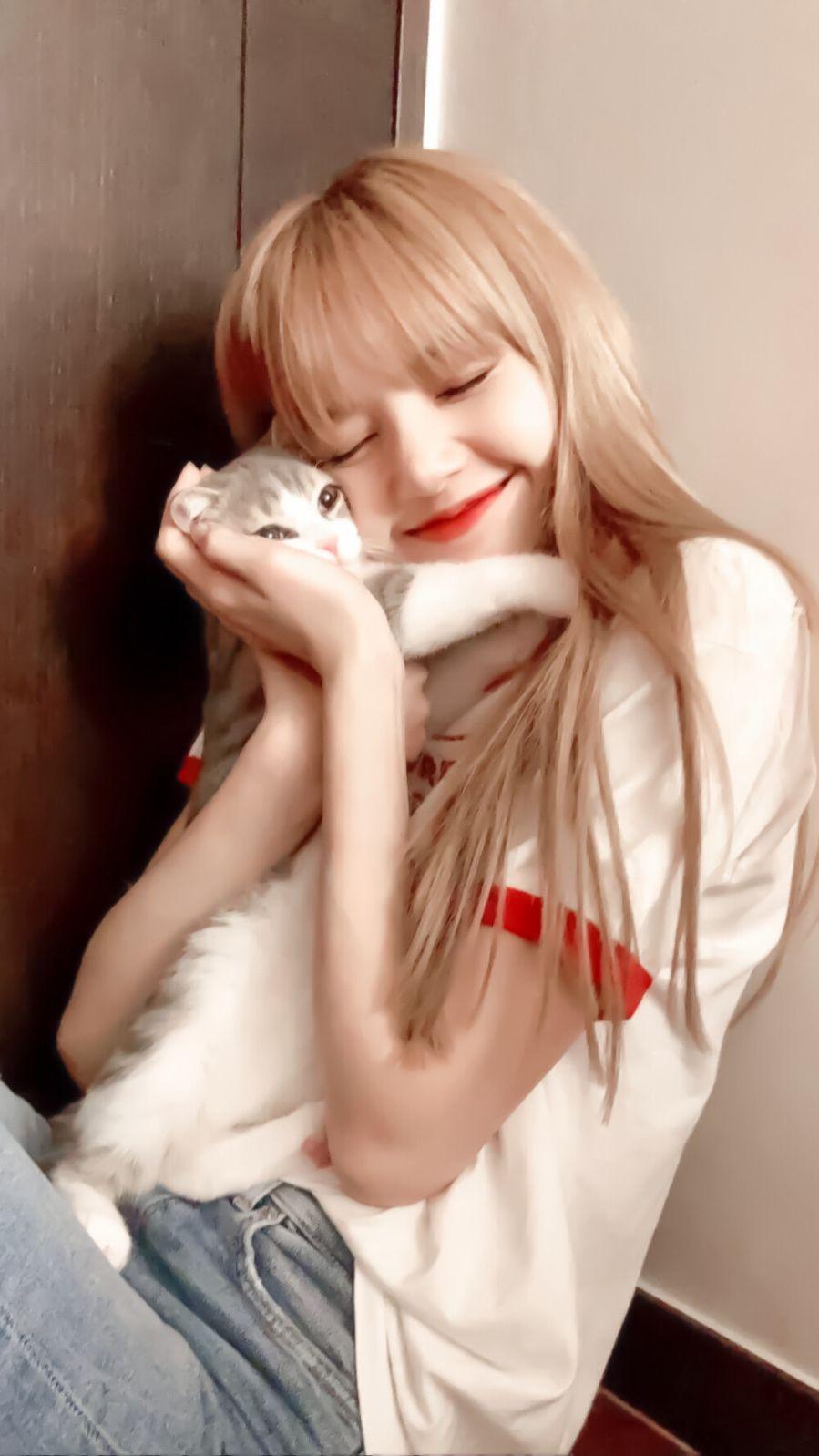 lisa绝美壁纸? - 知乎