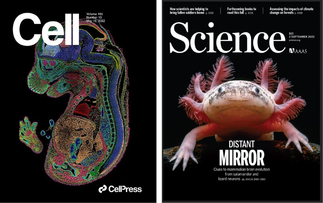 0版本(stomicsdb)在国家基因库生命大数据平台(cngbdb)正式上线,致力