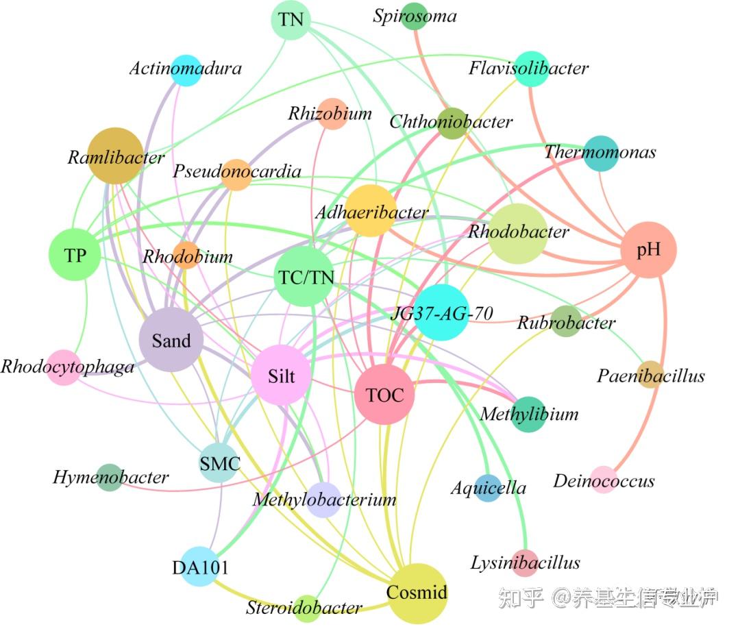 網絡分析cytoscape與gephi基礎實戰