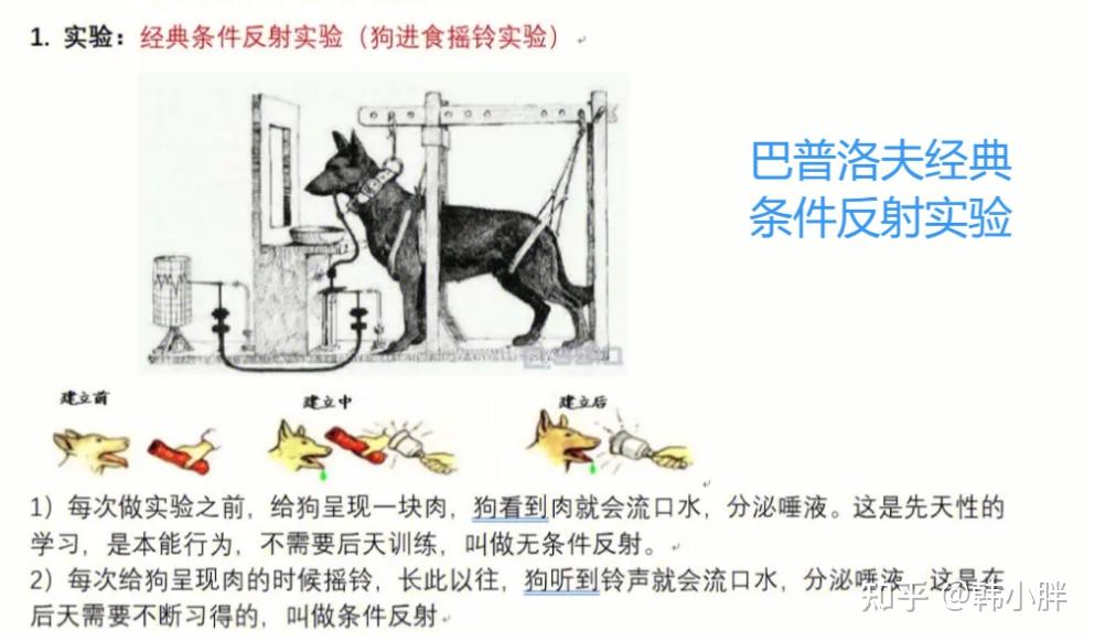 跟我一起学心理系列（7）-高级神经活动︱反射学说 - 知乎