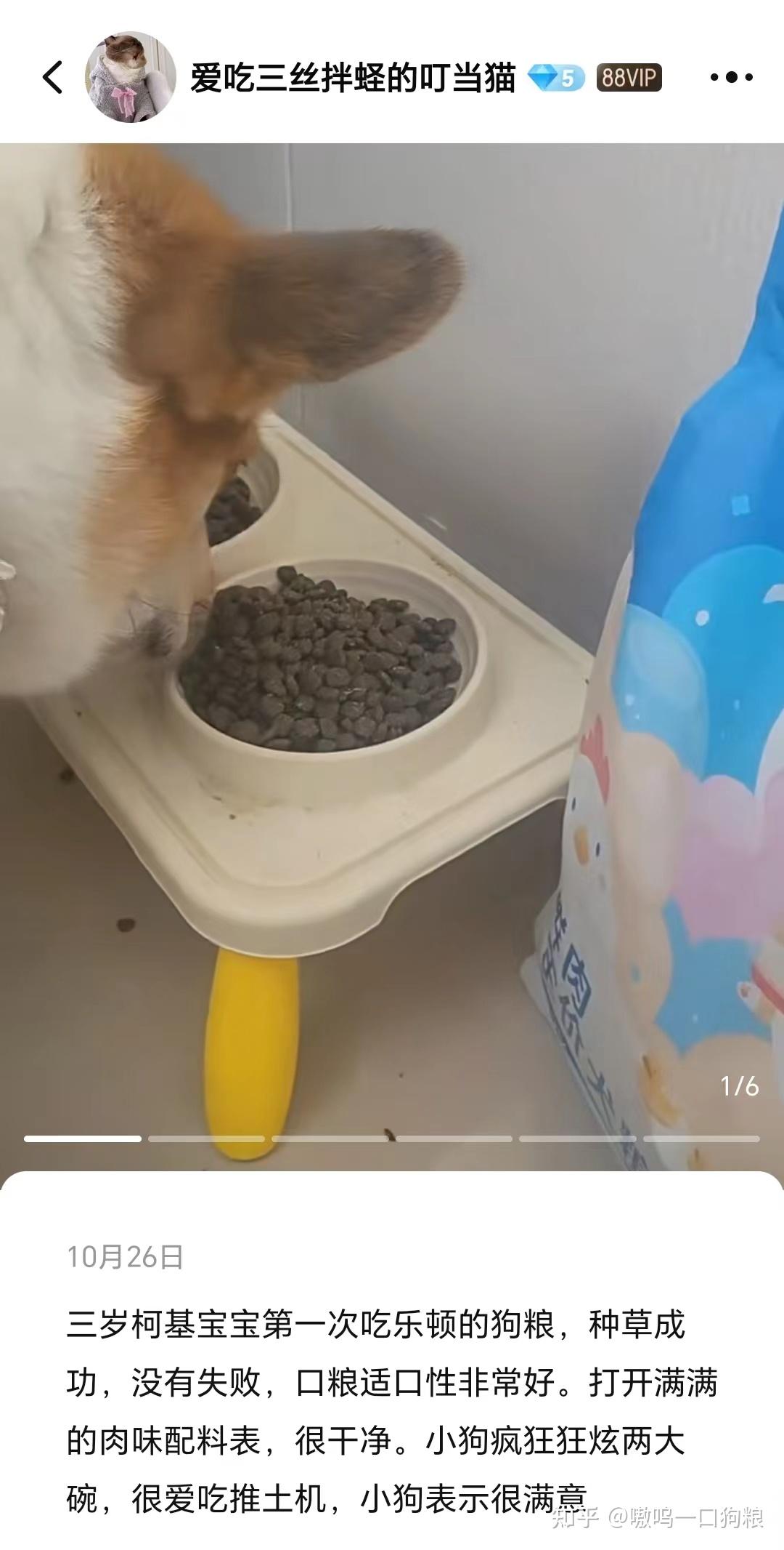 狗粮测评!乐顿狗粮到底怎么样? - 知乎