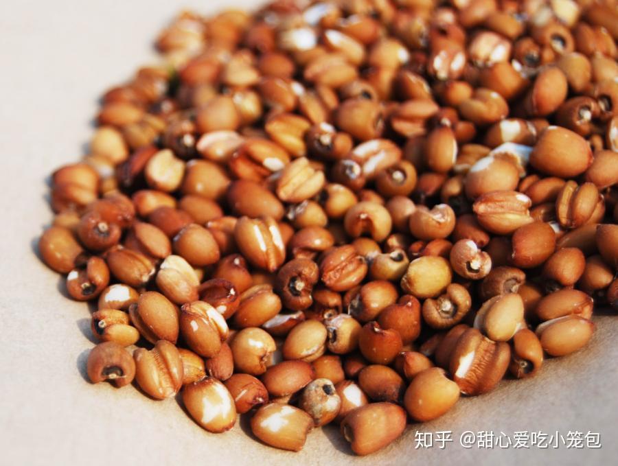 你煮的薏仁水可能不是薏仁水 - 知乎