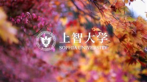 Sgu全攻略 上智大学理工学部物质生命理工学科英语授课项目 知乎