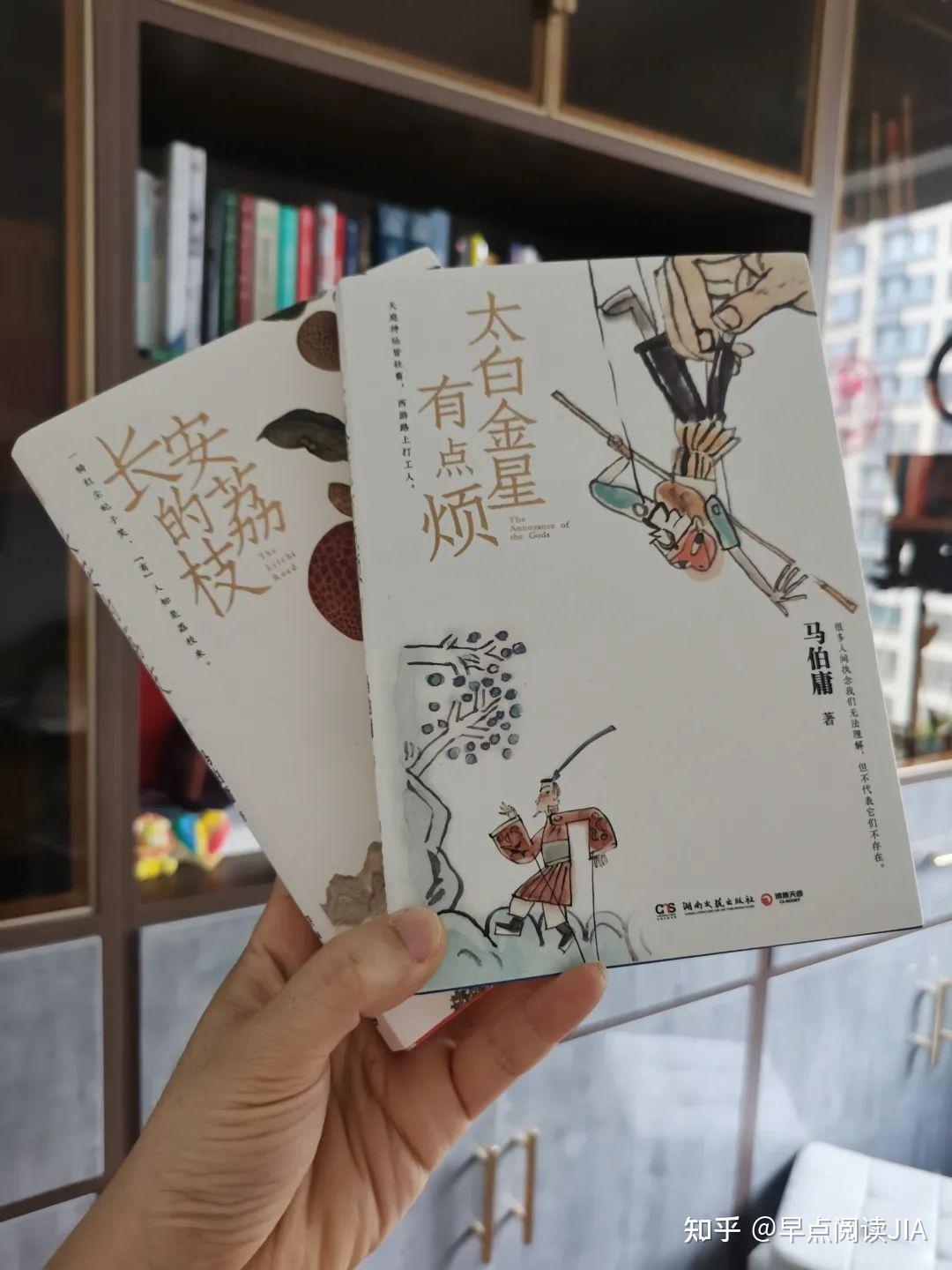 长安的荔枝》：就算失败，我也想知道，自己倒在距离终点多远的
