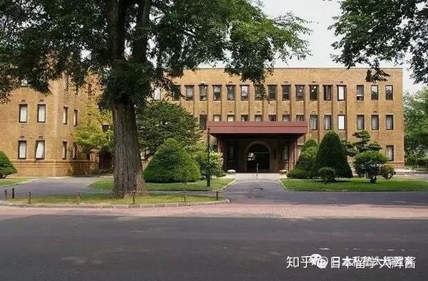 日本留学 日本大学专业 教育学部 知乎