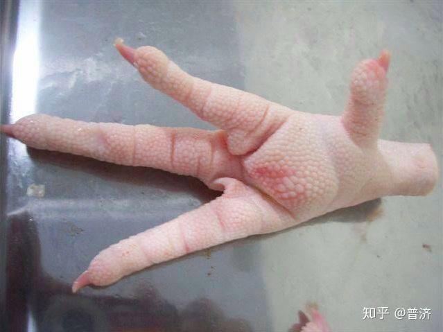 肉食结构调整今年进口50万吨娇小鸡爪子能撑起救市的重任吗