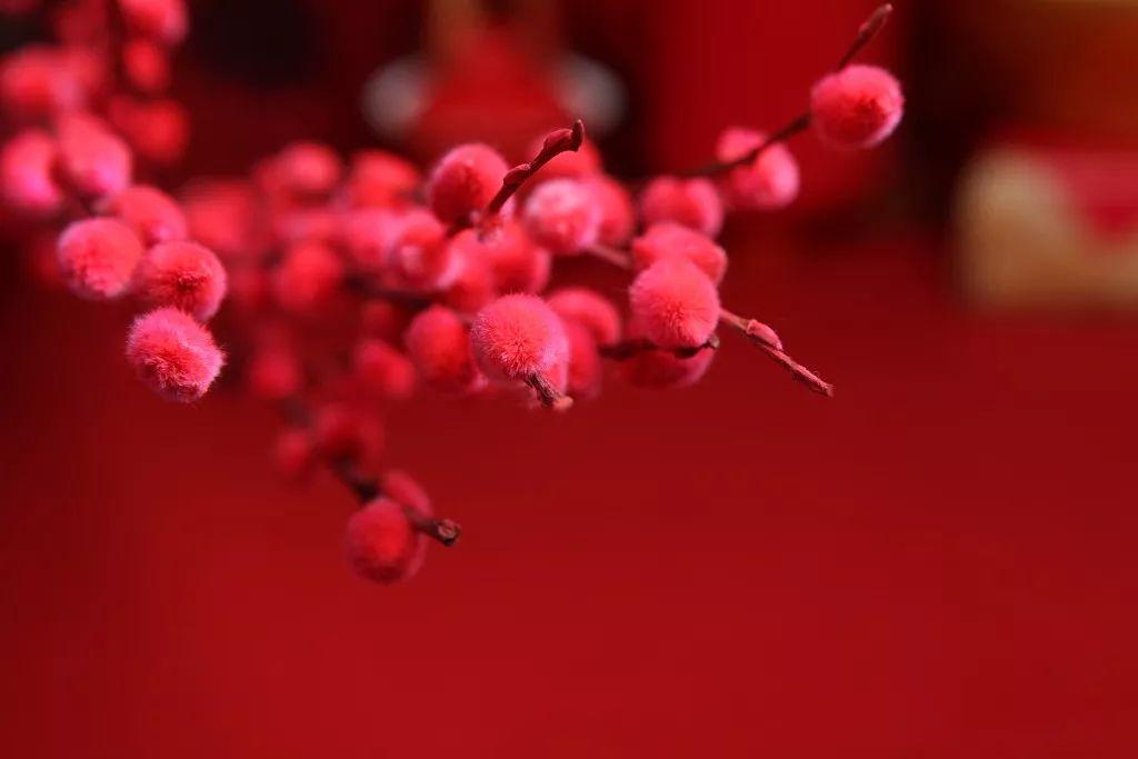 v2-291b4857cb62faf09bee79cf82a65d96_r.jpg