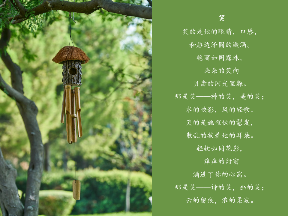 笑—— 林徽因 - 知乎