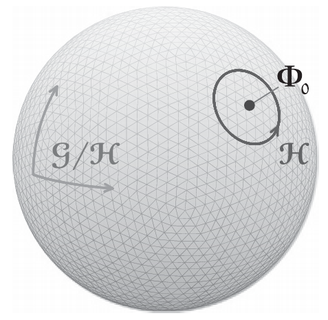 gelis2019132单极子