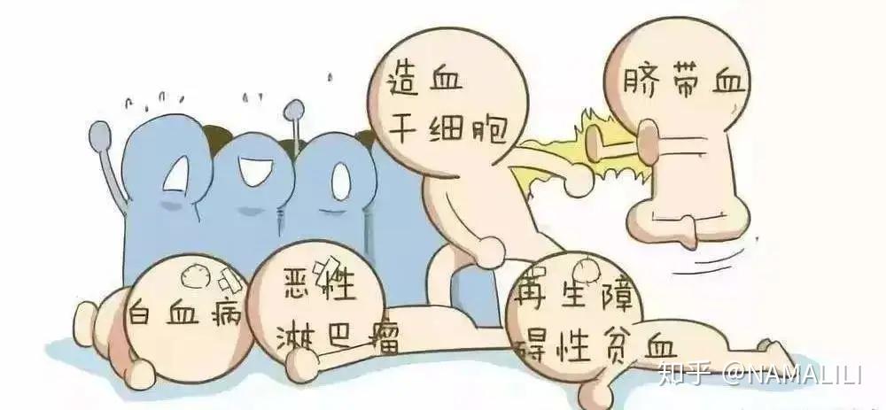 干細胞最全的科普(圖4)