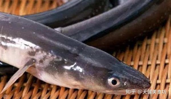 探访关西最佳鳗鱼饭 廣川鳗鱼屋 甜嘟嘟