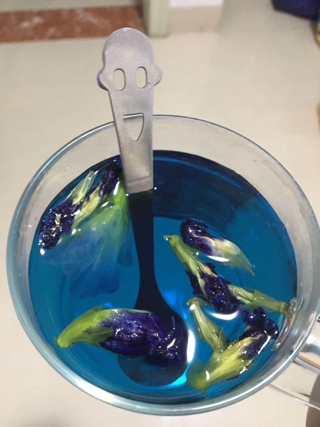 想要年轻来杯蓝色水阳台种棵多年生可持续收花的蝶豆花吧