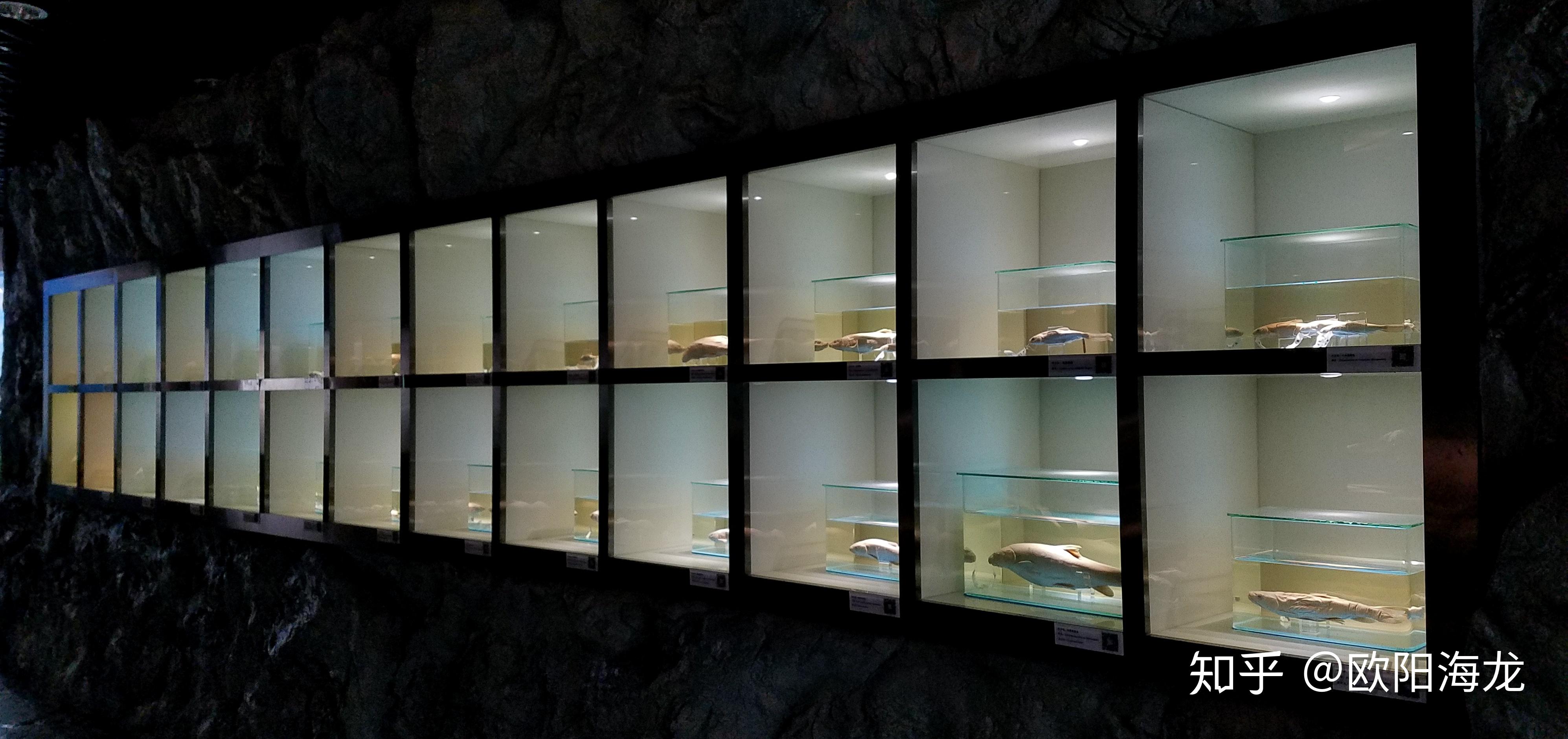 走进水生生物博物馆