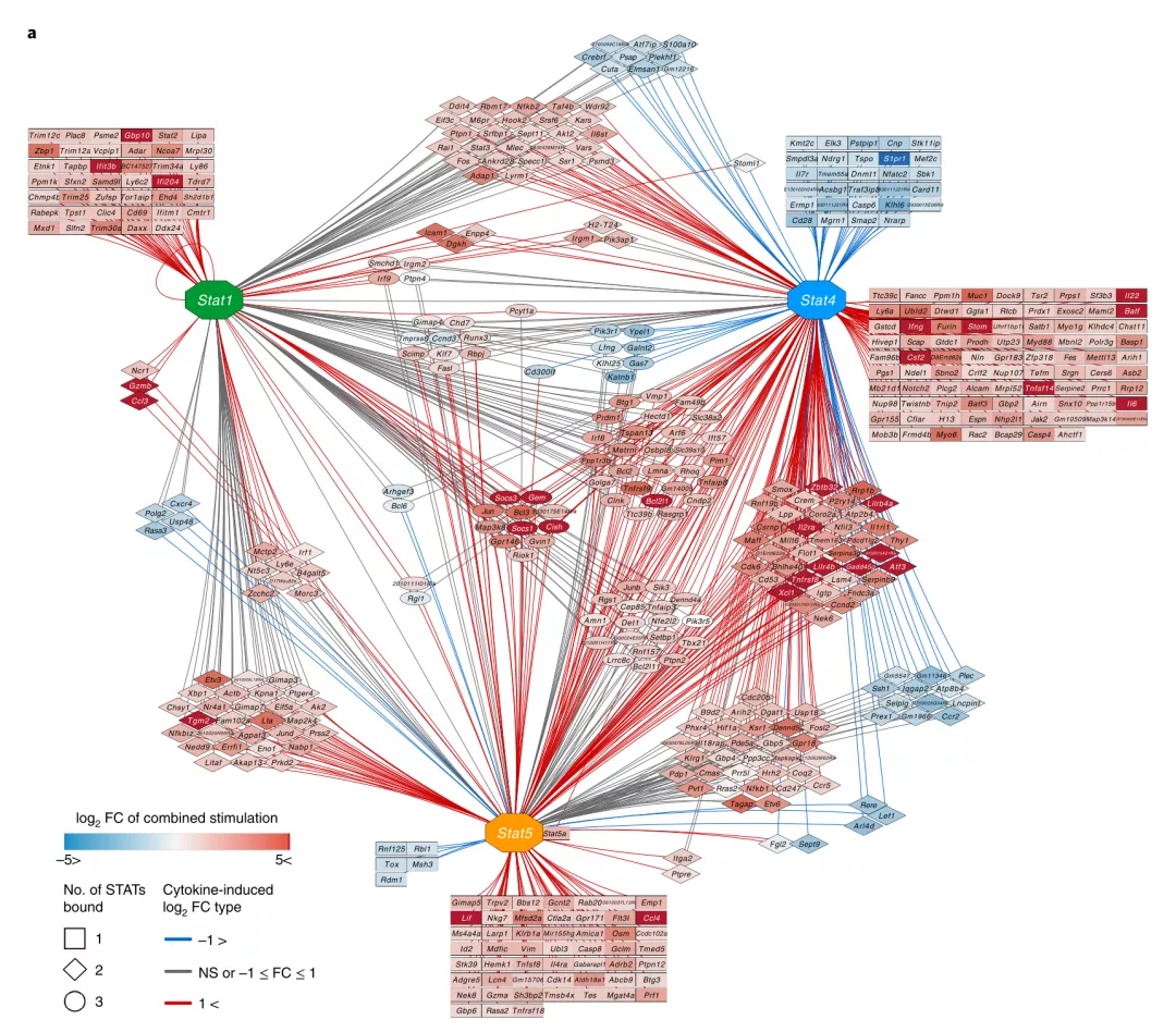 细胞因子各司其职互不相干nature子刊nk细胞受到细胞因子网络的整体