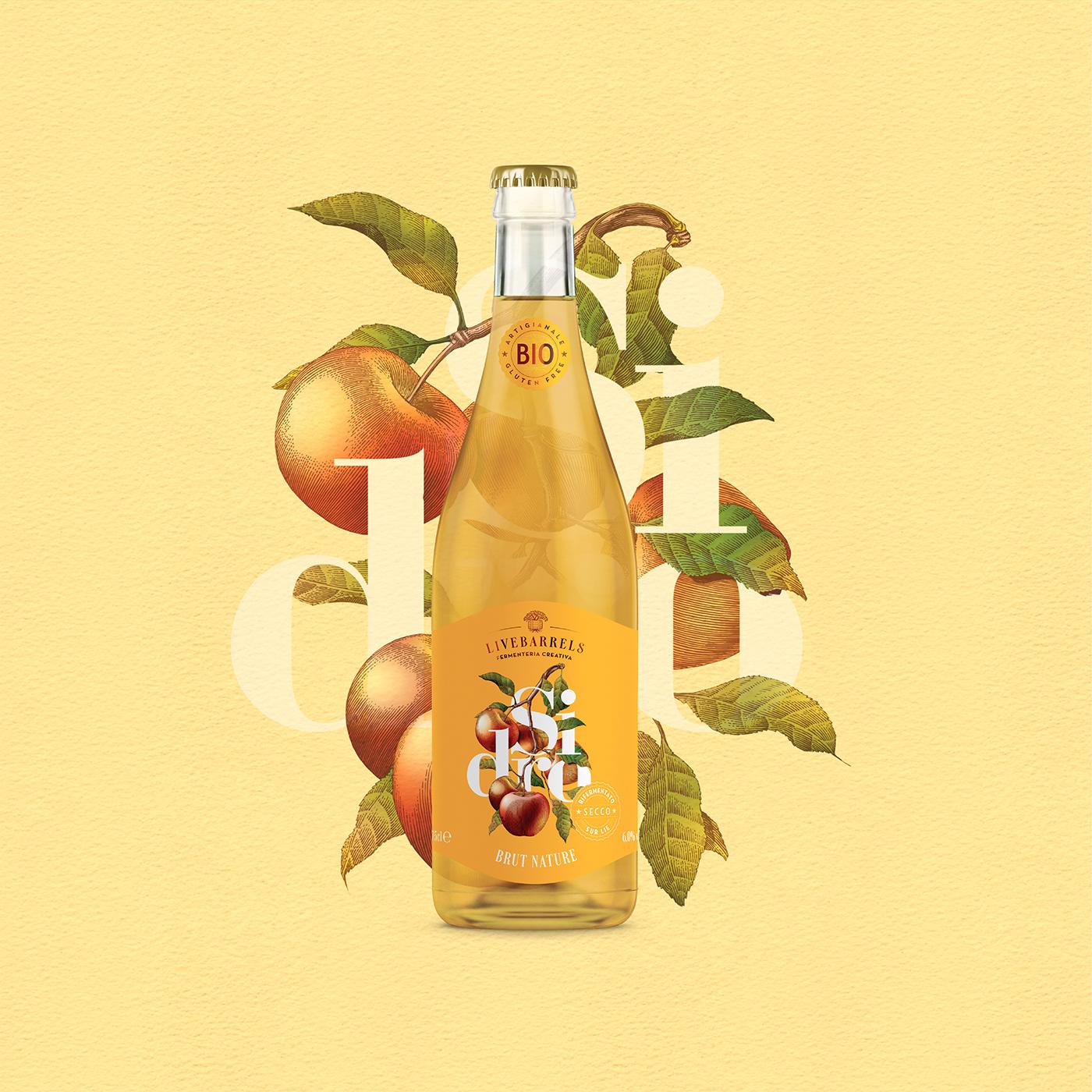 livebarrels果酒包装设计