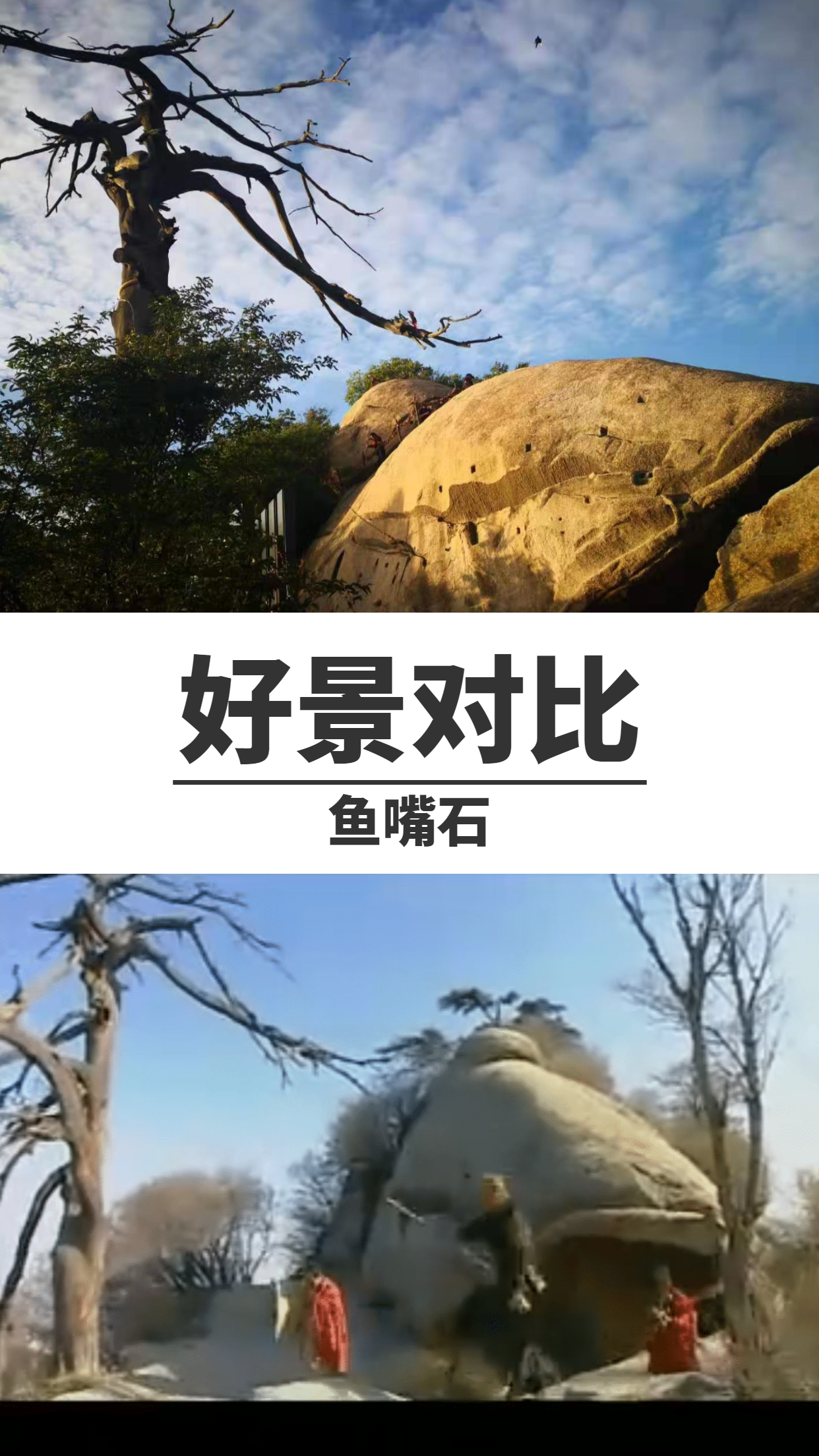 从拍摄取景的角度看看《西游记后传》,确定重新剪有望封神?