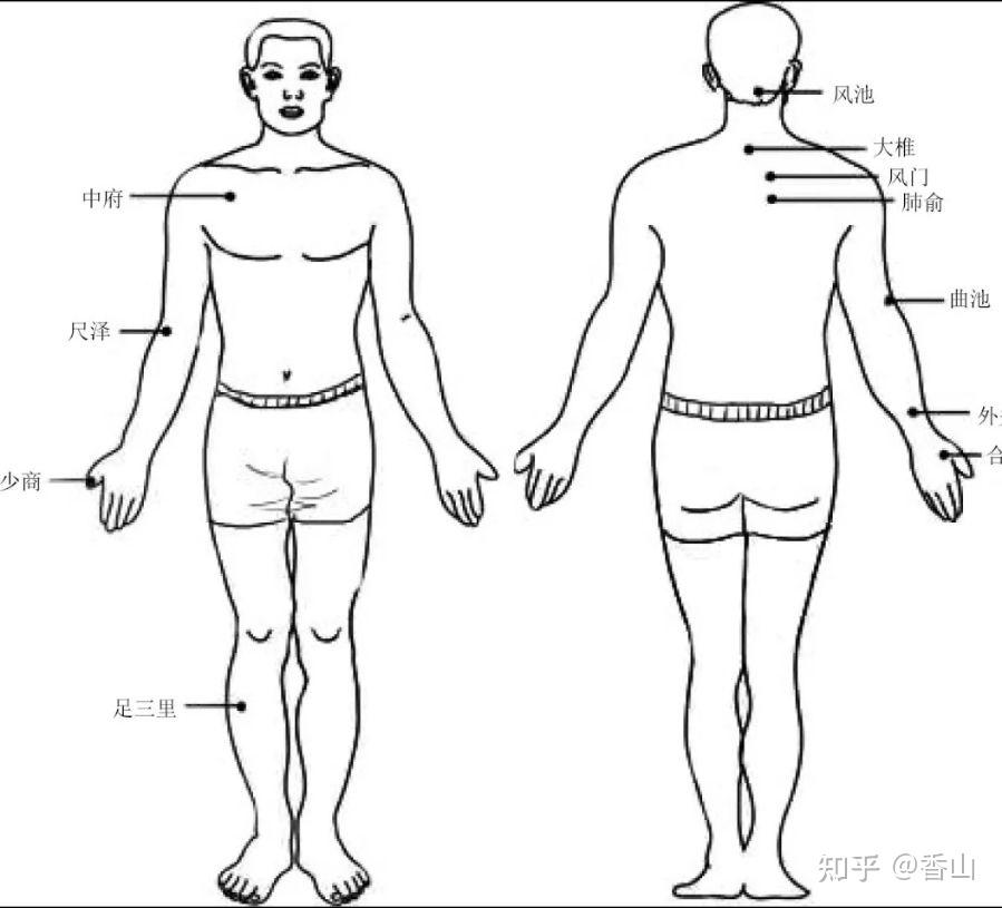 刮痧疗法怎么治感冒