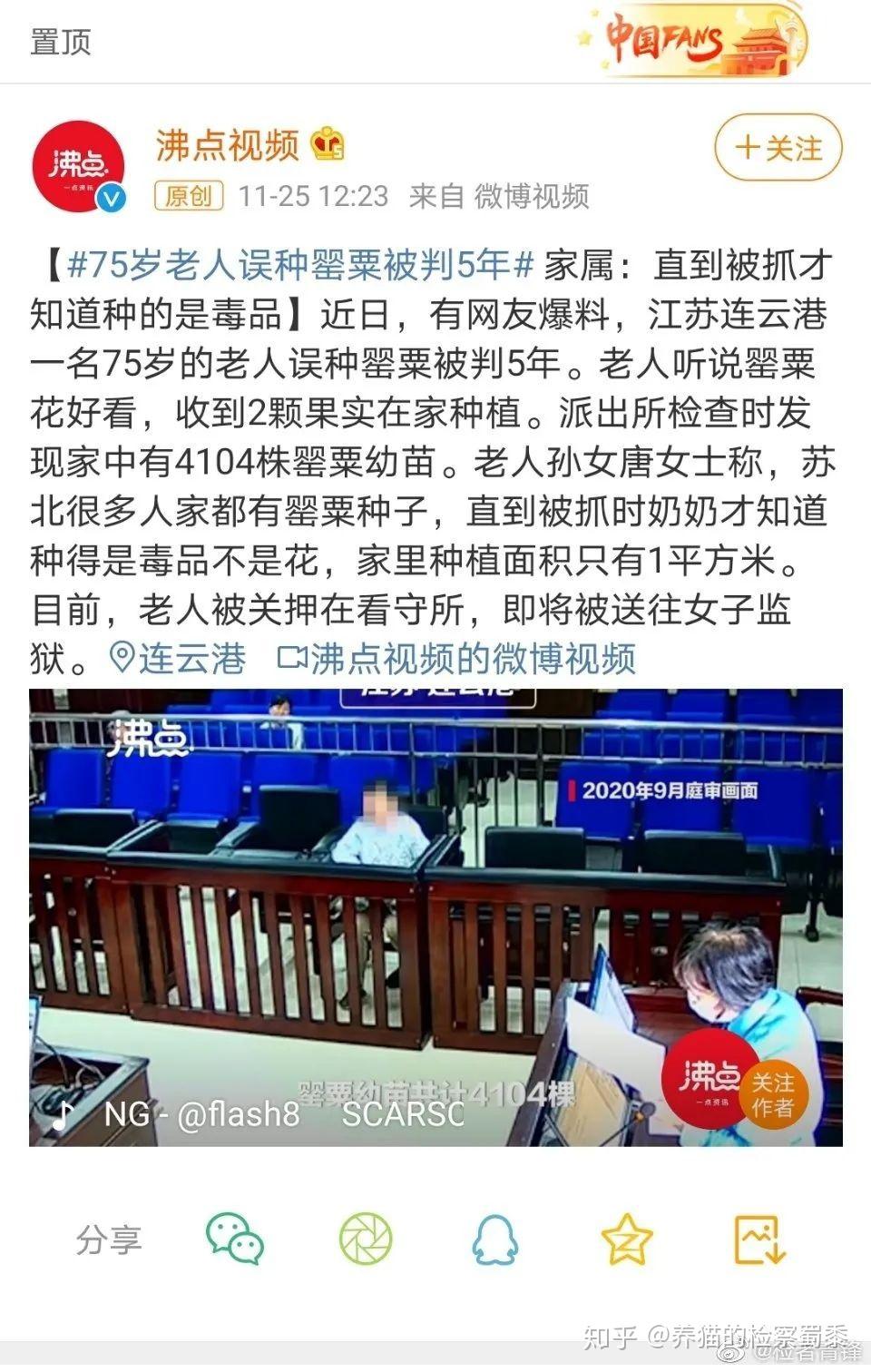 老人种罂粟被判5年余波未了恶意炒作永无底线