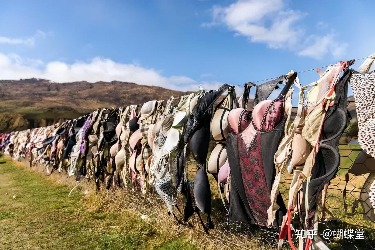 内衣周刊|都市新感觉四个女孩恶作剧,却造就了暖心的"内衣墙"