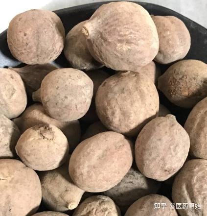 带你识别诃子 - 知乎