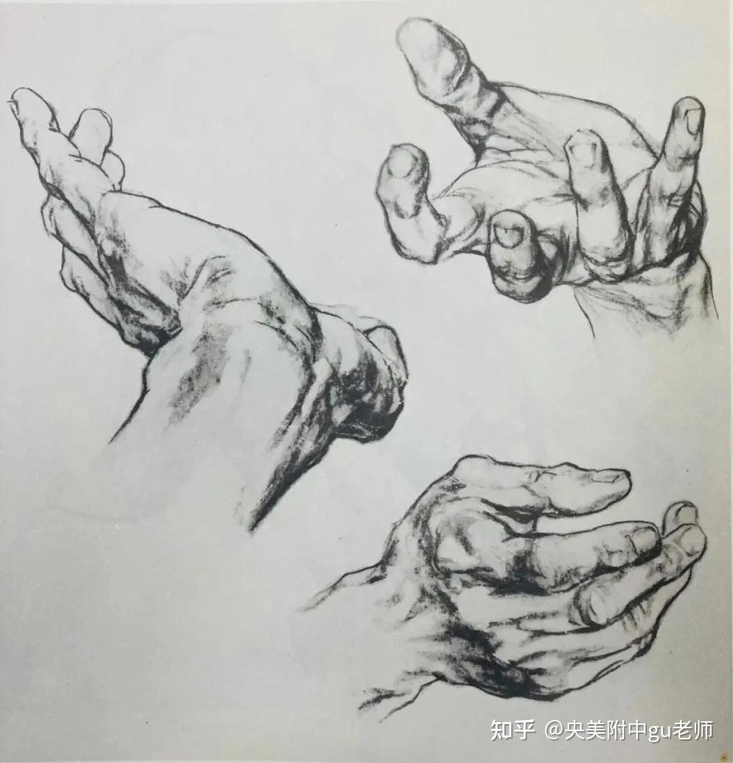 大师速写【手部】细节,央附考前请疯狂临摹 - 知乎