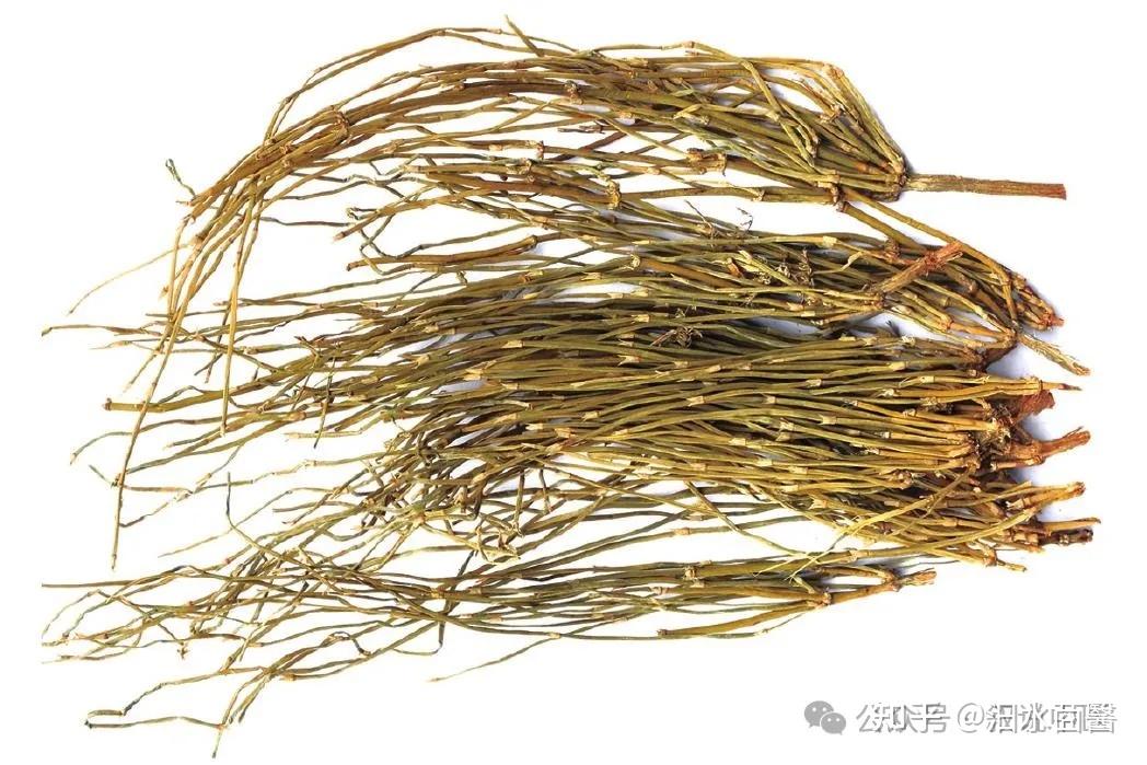千古辛温皆误解——麻黄、麻黄根药性分析 - 知乎