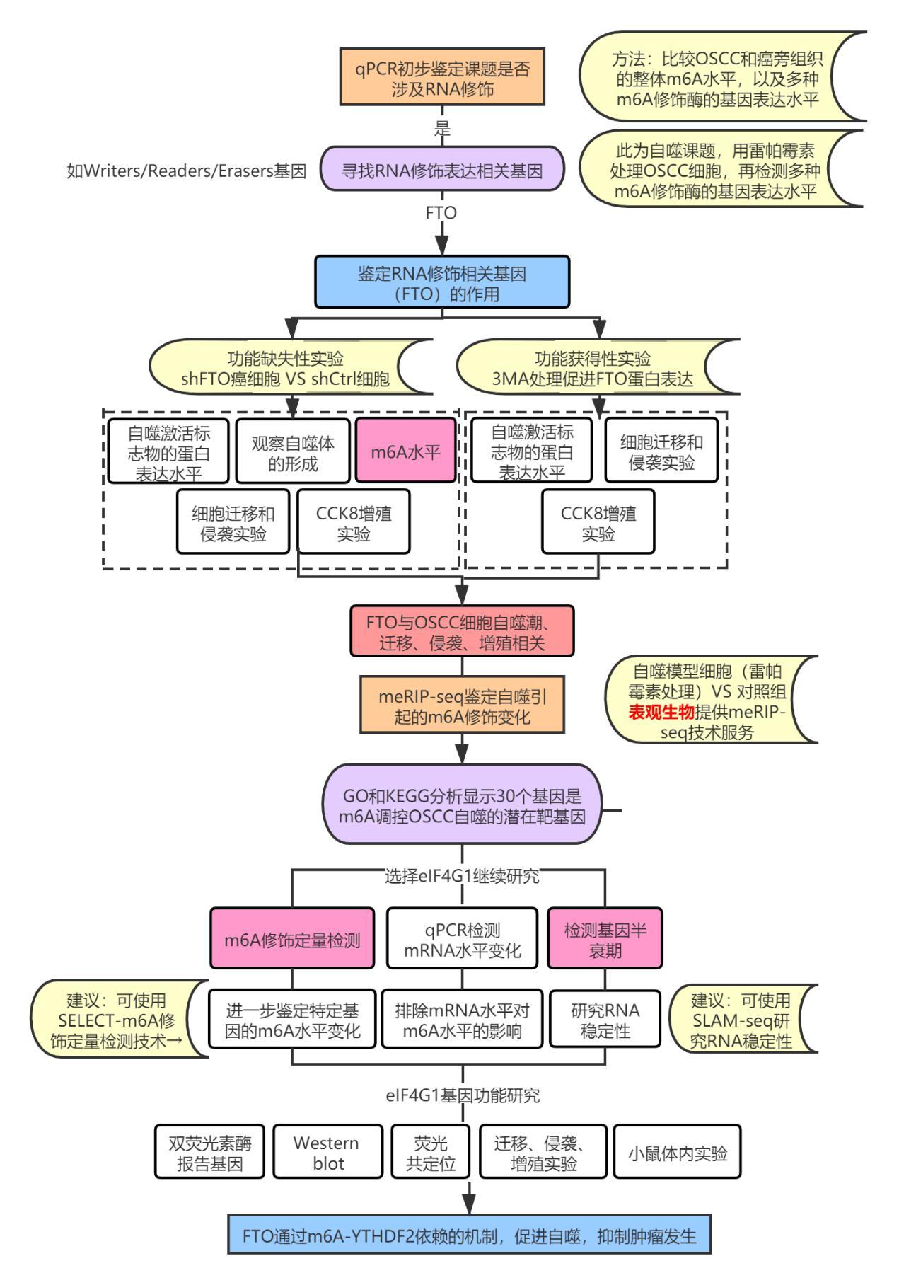 思路图示意图图片