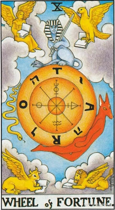 科普韦特塔罗11