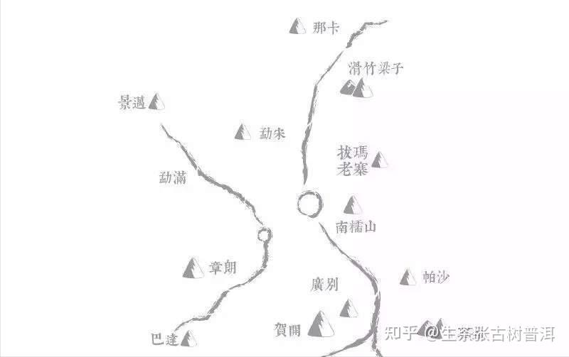 普洱茶界最具潜力的黑马滑竹梁子其普洱茶怎么样