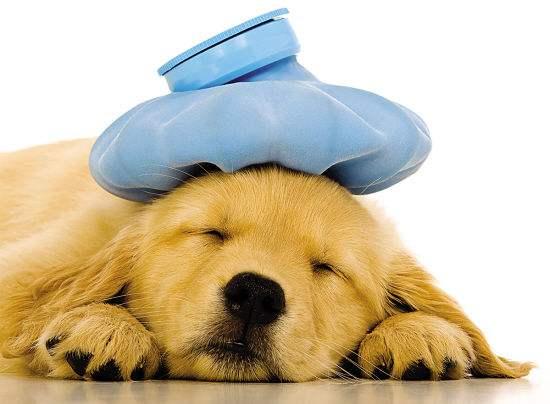 v2-29b78ba8e7333cb7e788a3ecb3820a31_1440w.jpg?source=172ae18b