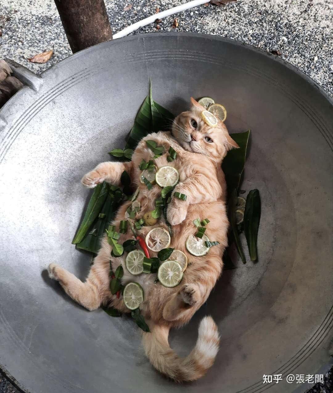 高端的食材往往只需要最简单的烹饪方式