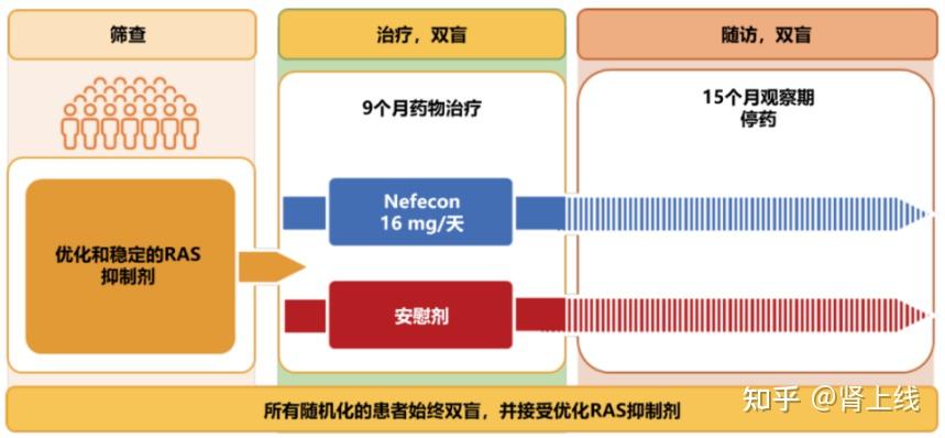 Nefecon Nefecon(耐赋康)三期临床试验显示:无论亚洲人或白种人,Nefecon均有效且耐受性良好!∣IIGANN2023 - 知乎