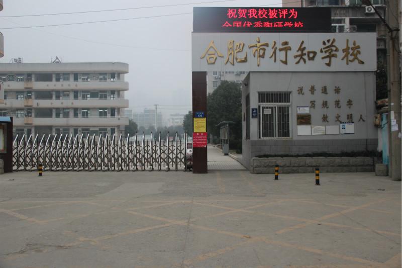 合肥被严重低估的一所优质学校不露锋芒却实力强劲的行知学校