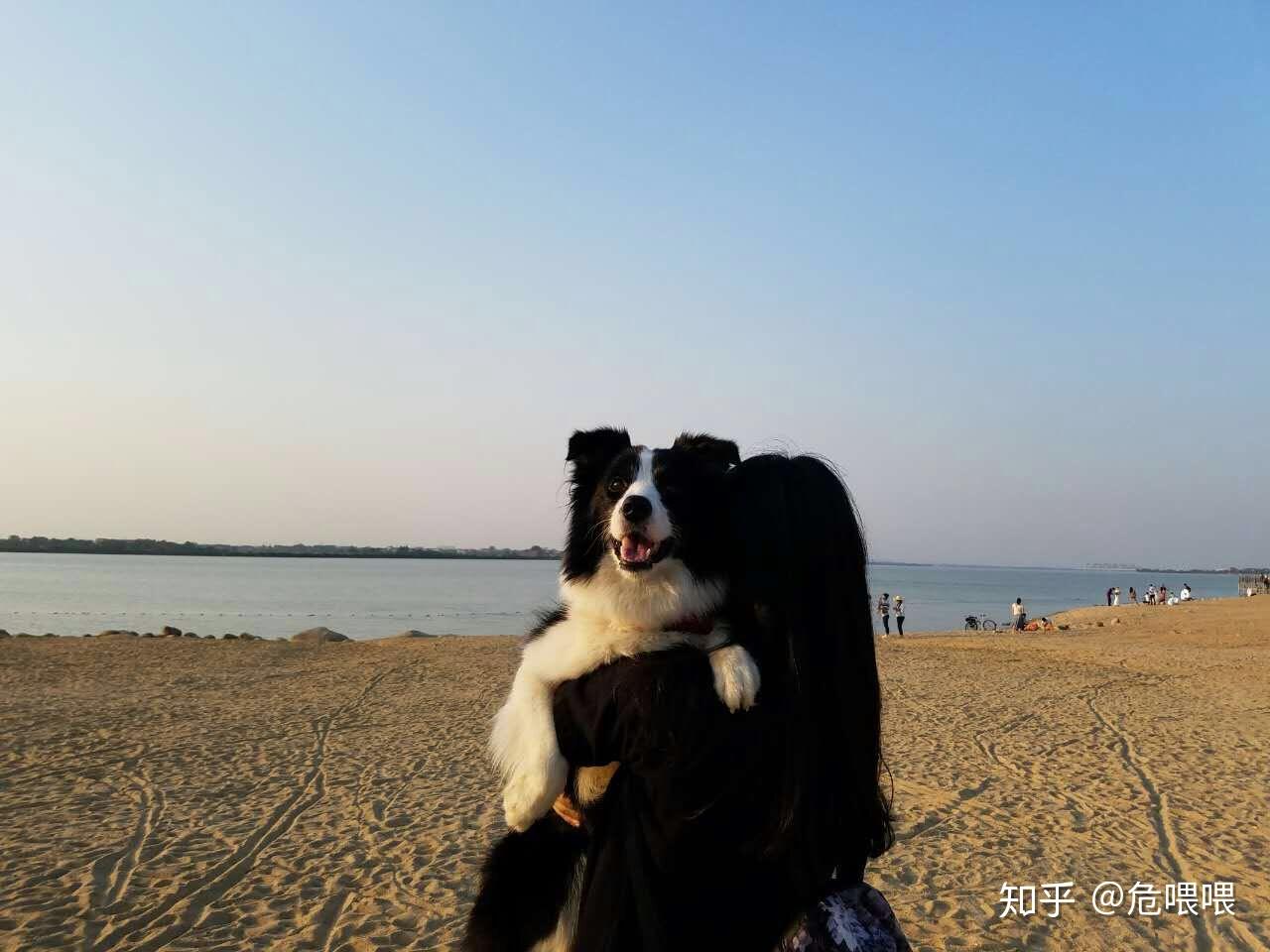 v2-2a1435dbe0227bb0bfe5f99520c7f96e_r.jpg