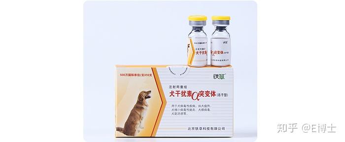 狗狗确诊细小该怎么办?