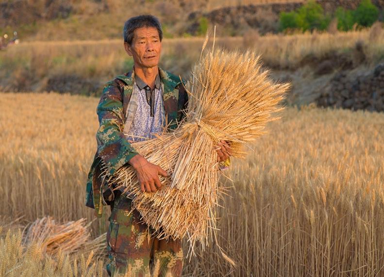 v2-2a1d860f23a000b93091fcb939153f04_1440w.jpg?source=172ae18b