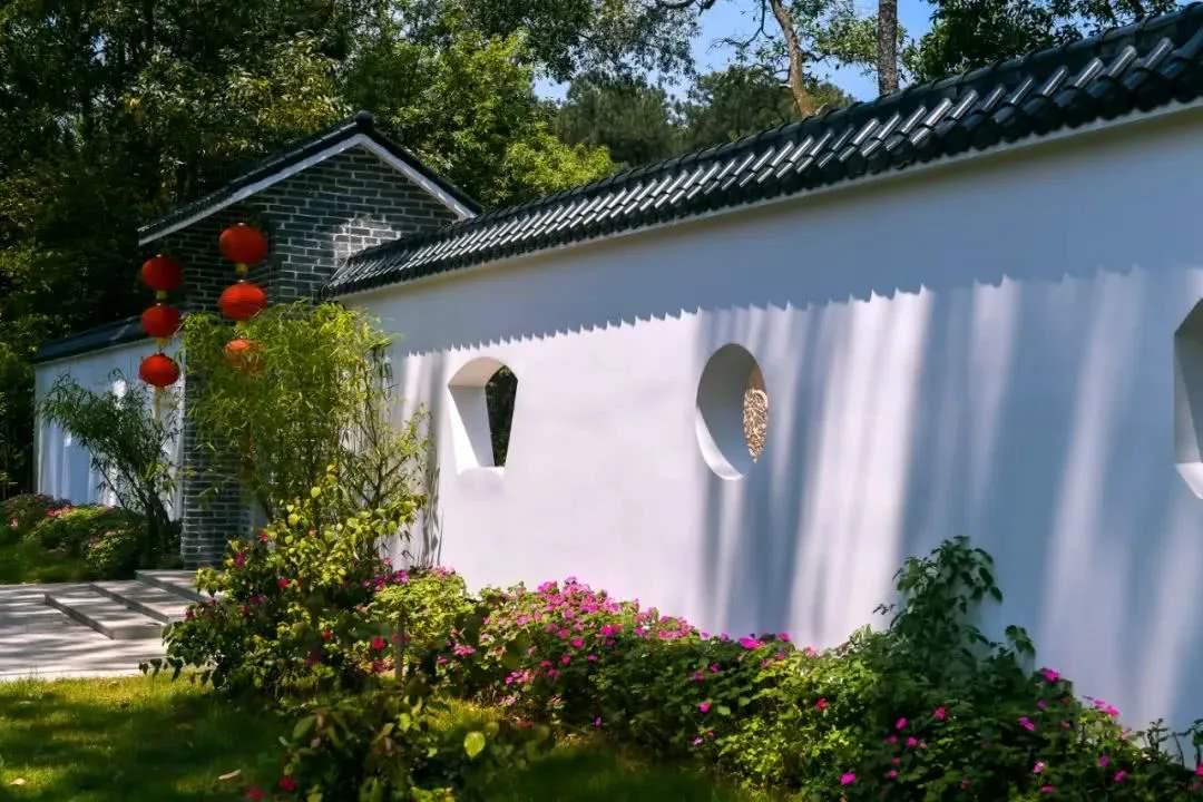 院子里别乱种树 看完你就知道了 知乎